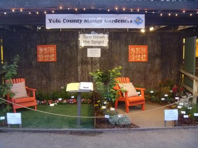 Yolo County Fair 2014