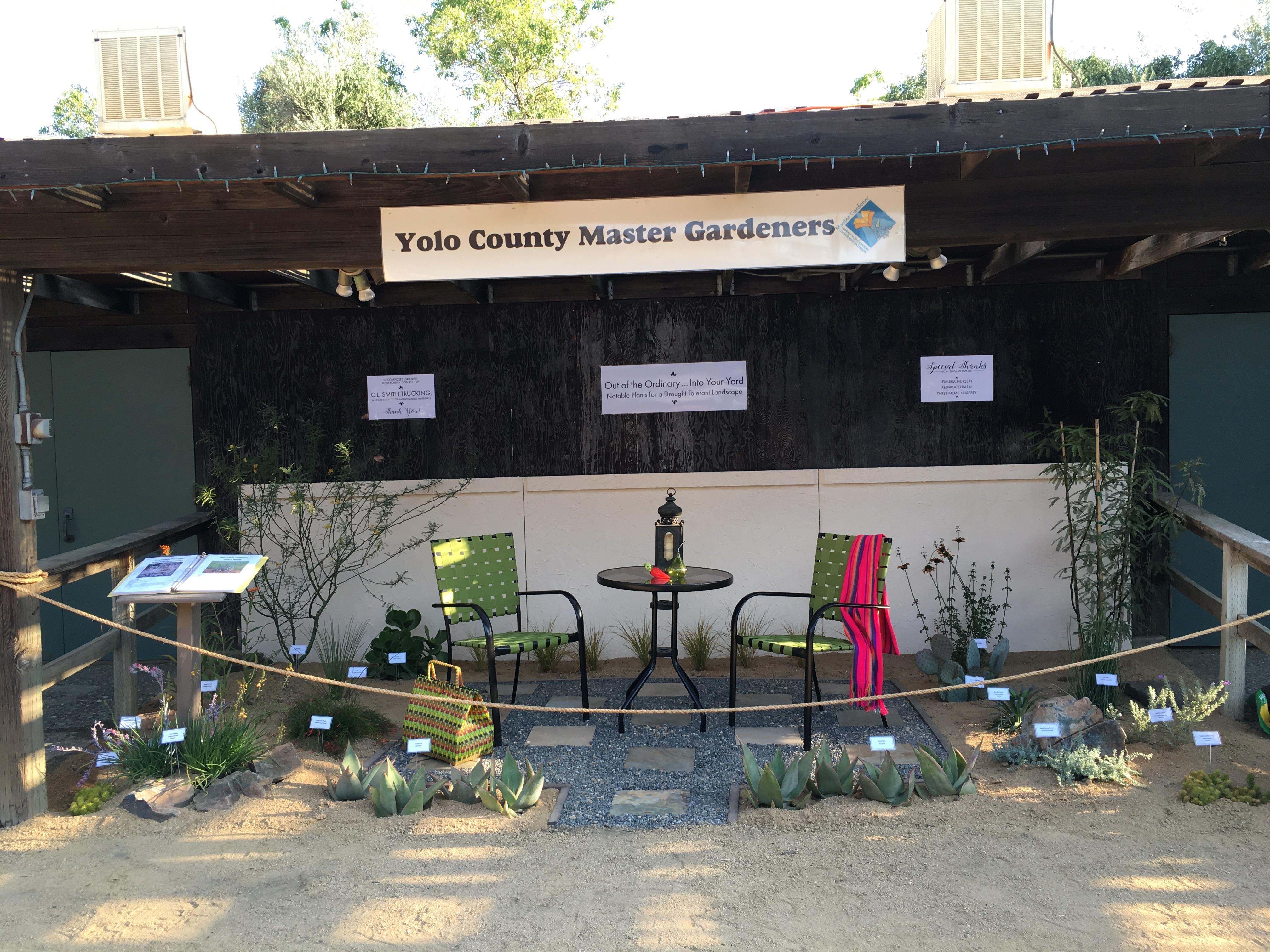 Master Gardener Garlic Growing Workshop – Events